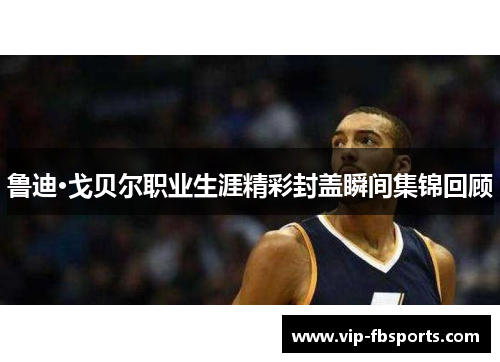 鲁迪·戈贝尔职业生涯精彩封盖瞬间集锦回顾